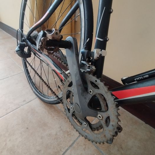 Orbea bike