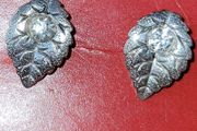 silver earrings