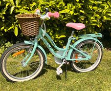 18 Inch Verve Star Bike with Basket Mint