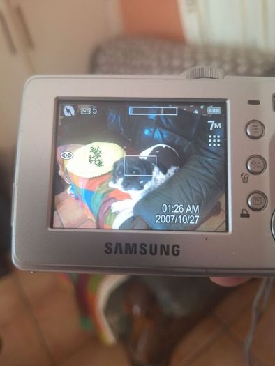 Samsung D75 Digital Camera