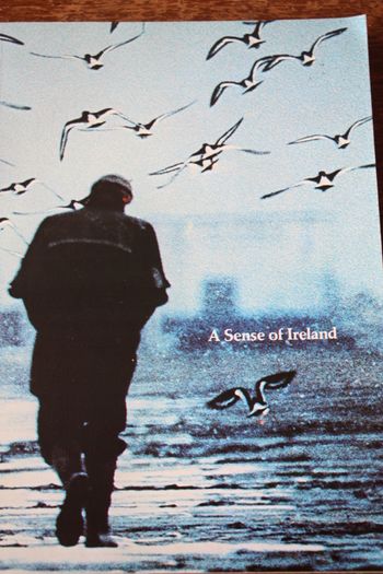A Sense of Ireland.