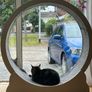 Cat Exercise Wheel Image 3