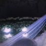 Cathedral Length Veil With Crystal Edge Image 2