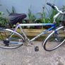 Goldrush bike Image 6