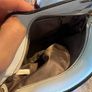 bag Image 2