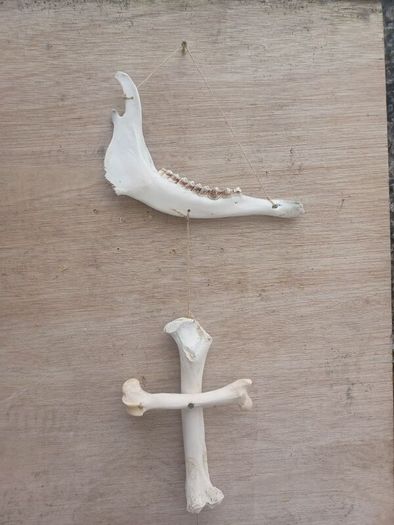 Jaw/Bone wall hanging