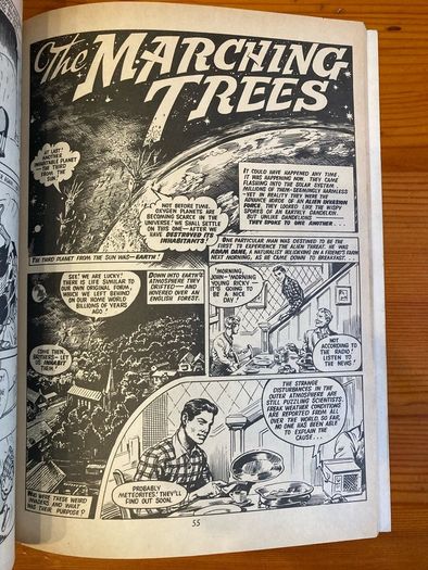 Comic: 'Buster' annual 1965