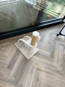 Cat scratch post