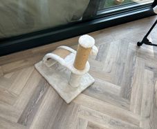 Cat scratch post