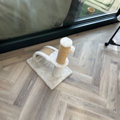 Cat scratch post