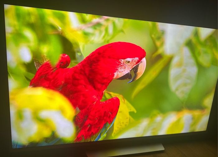 Phillips 55inch 4k Android Smart tv