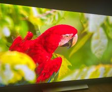 Phillips ambilight 55inch 4k Android Smart tv