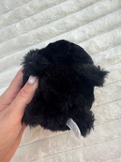 Jellycat Black Caboodle Kitten Soft Toy Small Black  approx. 5 Used Please see photos