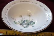 Arklow pottery bowl