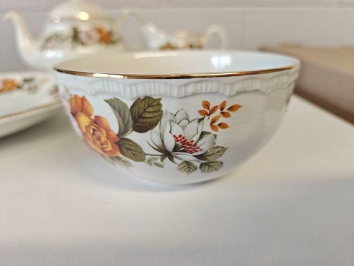 Vintage English Ironstone Tea Set from Royal Brampton
