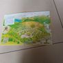 Cabbage  Patch Kids Making Friends Book. Image 2