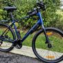 Trek Dual Sport Gen 5 - XL Image 2