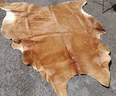 Large Cow Hide