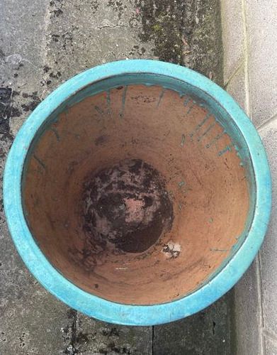 Large/Medium Glazed Earthenware Egg Flower Pot- 3 available