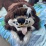 Brown Fox Fursuit Image 8