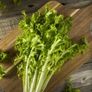 (E) Cichorium Endivia seeds 0.2g Image 4
