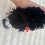 Tukan Nature Planet plush toy Used Please see pictures Image 7