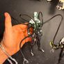 Marvel Legends Image 2
