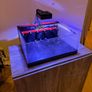 Marine Aquarium Frag Tank, light, pump and Cabinet Image 9
