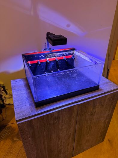 Marine Aquarium Frag Tank, light, pump and Cabinet