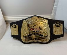 wwe WWF Jakks specific World Tag Team title Kids Foam Belt