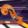 Stentor 3/4 size violin Image 5
