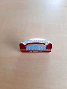 Pushkin pin badge