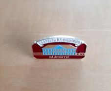 Pushkin pin badge