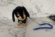 Toy Dog