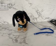 Toy Dog