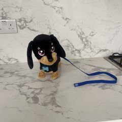 Toy Dog