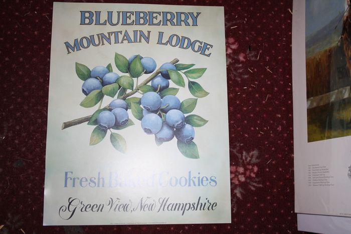 Blueberry Mountain Lodge