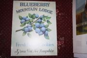 Blueberry Mountain Lodge