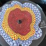 Bonnie "Prince" Billy & The Cairo Gang - The Wonder Show of the World Image 4