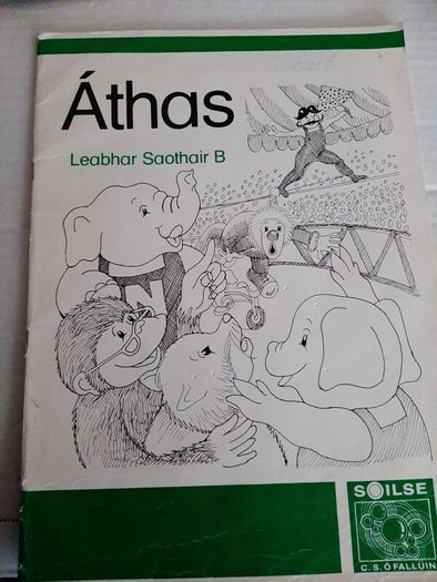 Gaeilge Fallons vintage school books