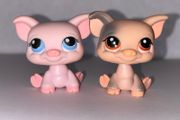 littlest pet shop (LPS) Pig bundle!