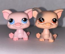 littlest pet shop (LPS) Pig bundle!