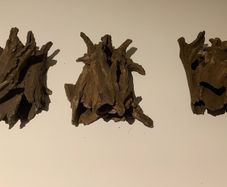 Hiding Clay cave like wood for pleco / cichlid