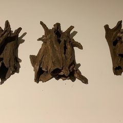 Hiding Clay cave like wood for pleco / cichlid