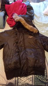 Woman jacket " Ralph Lauren "