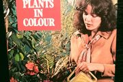 1968. 200 House Plants In Colour.
