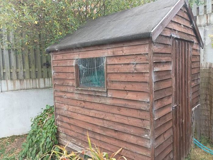 timber Shed