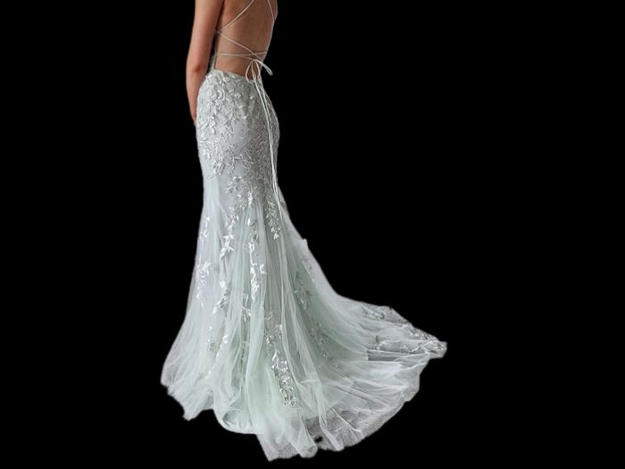 Stacees Prom Dress