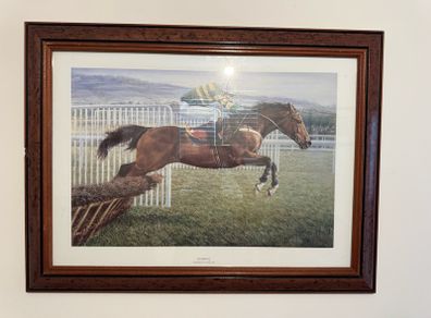 Istabraq "Champion Hurdler"