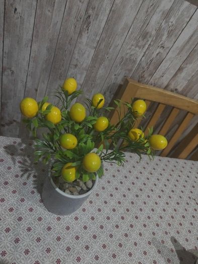 lemon plant